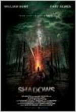 Shadows (2010) afişi