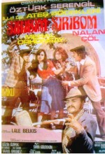 Şiribim Şiribom (1974) afişi