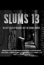 Slums 13 (2011) afişi