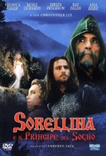 Sorellina E ıl Principe Del Sogno (1996) afişi