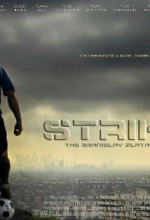 Striker(ı) (2011) afişi