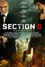 Section 8 (2022) afişi