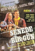 Senede Bir Gün (1971) afişi