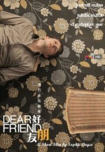 Sevgili Dostum (2011) afişi