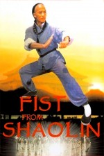 Shaolin Yumrukları