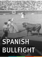 Spanish Bullfight (1900) afişi