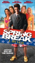 Spring Break Lawyer (2001) afişi