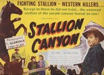 Stallion Canyon (1949) afişi