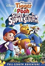 Super Duper Super Sleuths