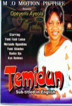 Temidun (2005) afişi