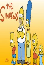 The Simpsons The Simpsons
