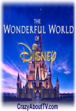 The Wonderful World Of Disney: 40 Years Of Television Magic (1994) afişi