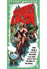 The Treasure Of The Amazon (1985) afişi