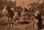 The Cowboy And The Schoolmarm (1910) afişi