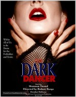 The Dark Dancer (1995) afişi