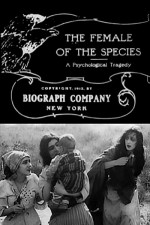 The Female Of The Species (1912) afişi