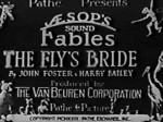 The Fly's Bride (1929) afişi