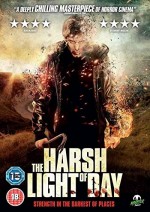 The Harsh Light of Day (2012) afişi