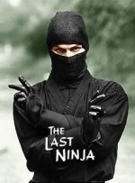 The Last Ninja (1983) afişi