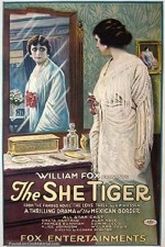 The Love Thief (1916) afişi