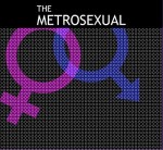 The Metrosexual (2007) afişi