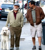 The Meyerowitz Stories (2017) afişi The Meyerowitz Stories (2017) afişi