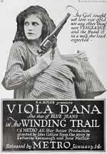 The Winding Trail (1918) afişi