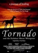 Tornado ve Atlara Fısıldayan Adam  afişi
