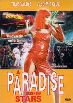 Un paraíso bajo las estrellas (2000) afişi