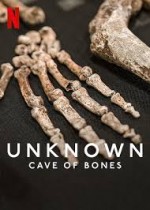 Unknown: Cave of Bones (2023) afişi