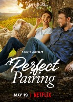 A Perfect Pairing (2022) afişi A Perfect Pairing (2022) afişi