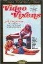 Video Vixens (1975) afişi