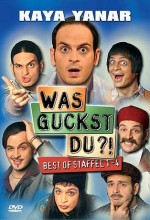 Was guckst du?! – Best of Staffel 1–4 (2004) afişi