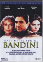 Wait Until Spring, Bandini (1989) afişi