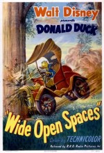 Wide Open Spaces (1947) afişi