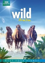 Wild Arabia (2013) afişi