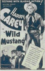 Wild Mustang (1935) afişi