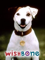 Wishbone (1995) afişi