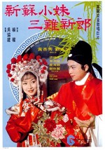 Xin Su Xiao Mei San Nan Xin Lang (1976) afişi