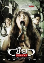 Zorla Giren (2010) afişi
