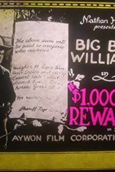 $1,000 Reward (1923) afişi