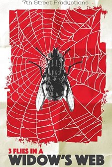 3 Flies in a Widow's Web (2016) afişi