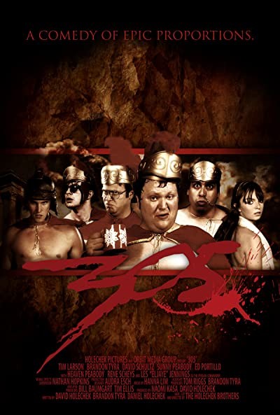 305 (2008) afişi