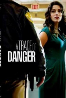 A Trace Of Danger (2010) afişi