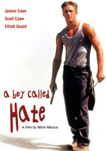 A Boy Called Hate (1995) afişi A Boy Called Hate (1995) afişi