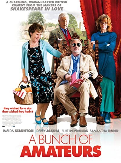 A Bunch Of Amateurs (2008) afişi A Bunch Of Amateurs (2008) afişi