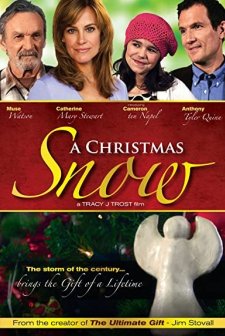 A Christmas Snow (2010) afişi