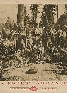 A Forest Romance (1913) afişi