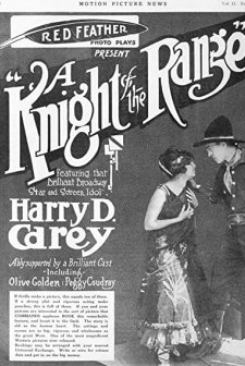 A Knight Of The Range (1916) afişi