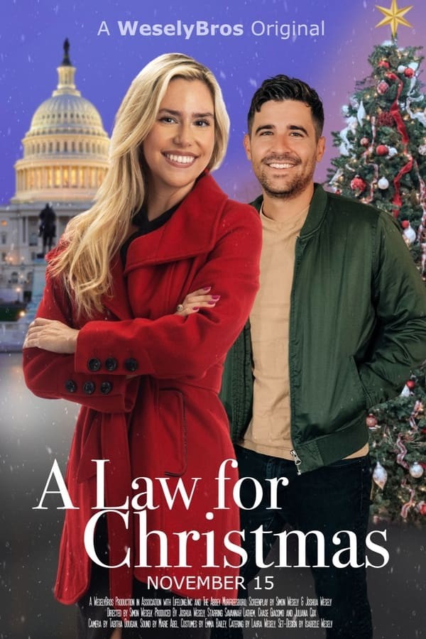 A Law for Christmas (2023) afişi A Law for Christmas (2023) afişi
